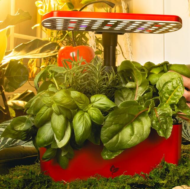 AeroGarden