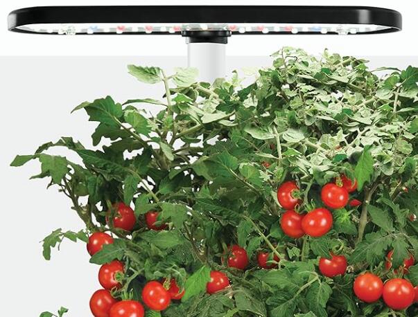 AeroGarden